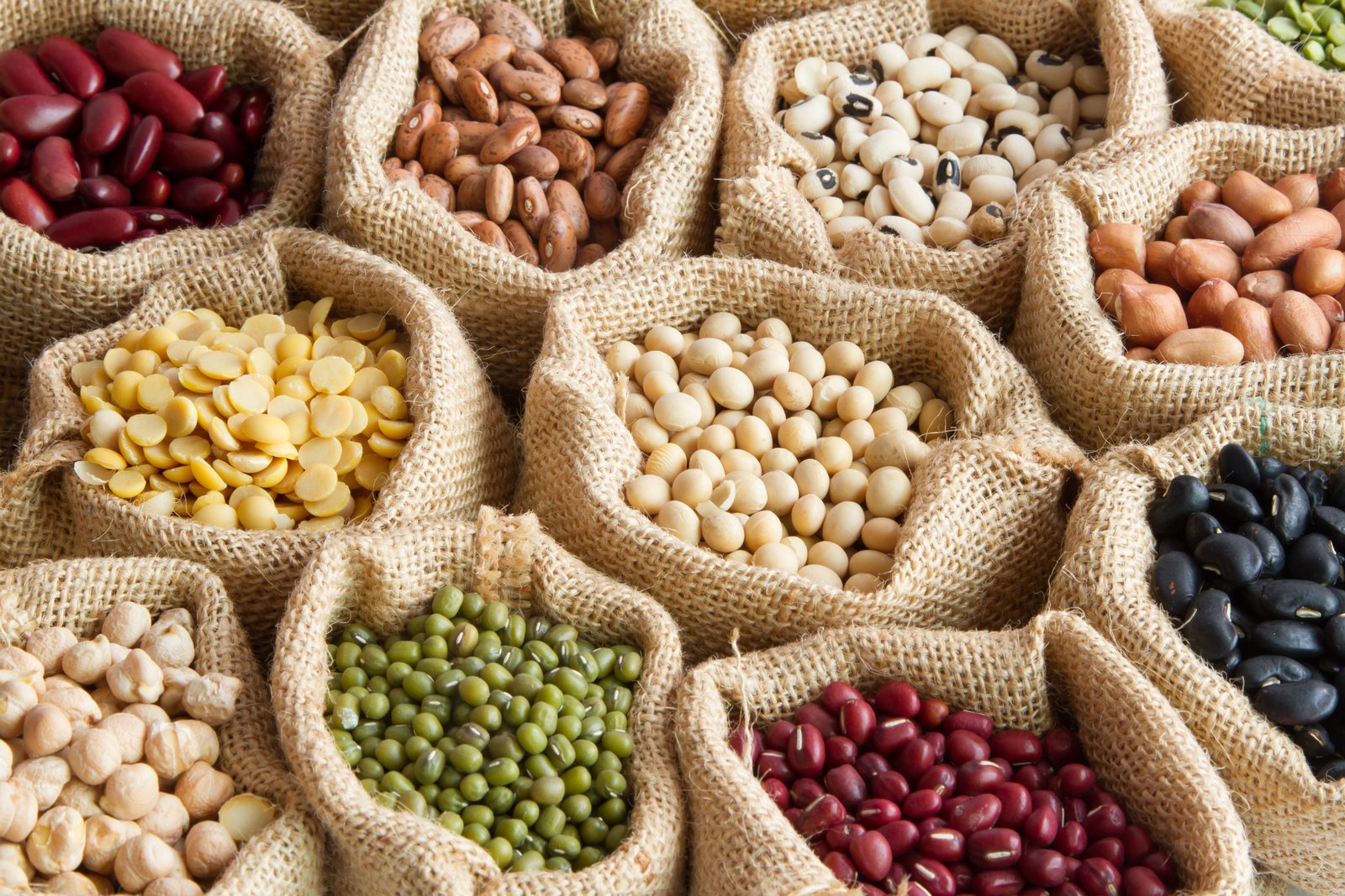 Grain and Legumes