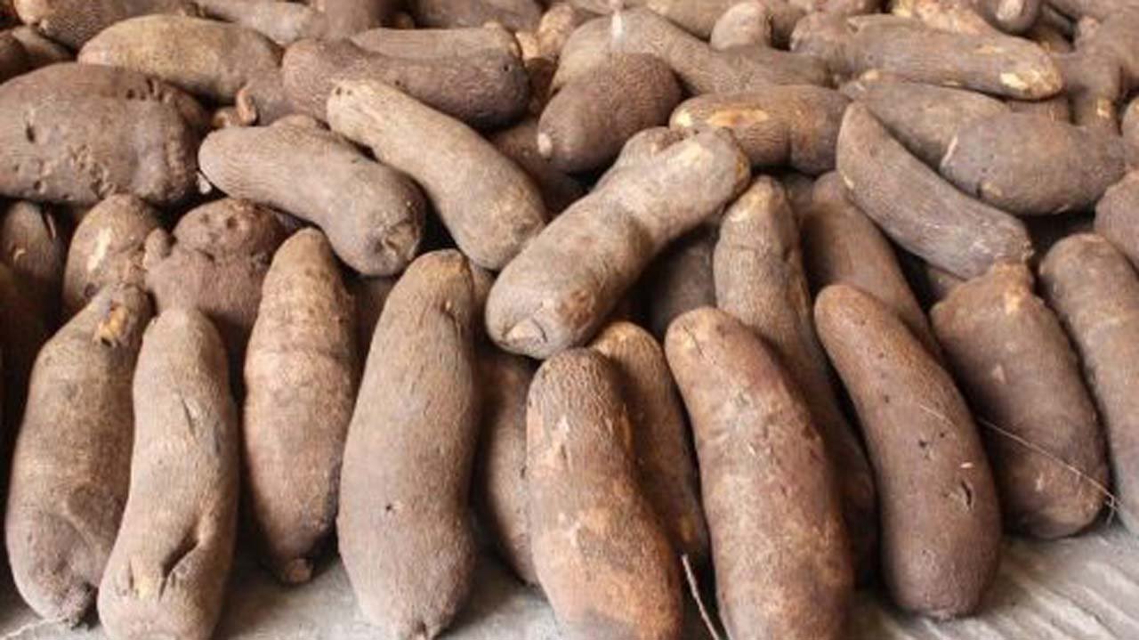 Tubers & Root Crops