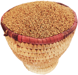 Destoned Millet grains