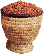 500g Cleaned Groundnut Seeds