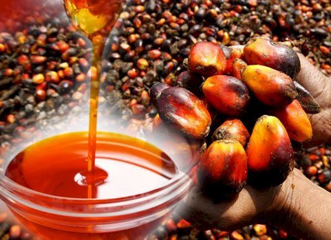 Pure Red Palm Oil