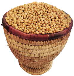 500g Cleaned and Packaged Soybeans