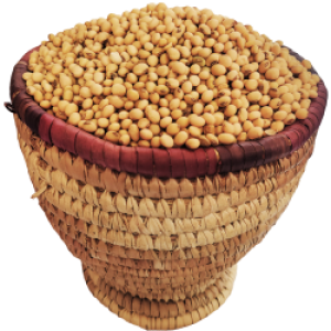 500g Cleaned and Packaged Soybeans