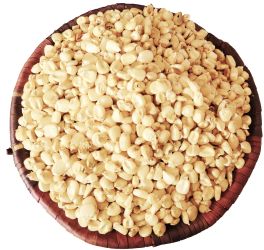 White Maize (Picked and Cleaned)