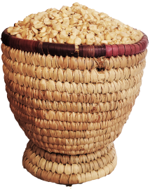 White Maize (Picked and Cleaned)
